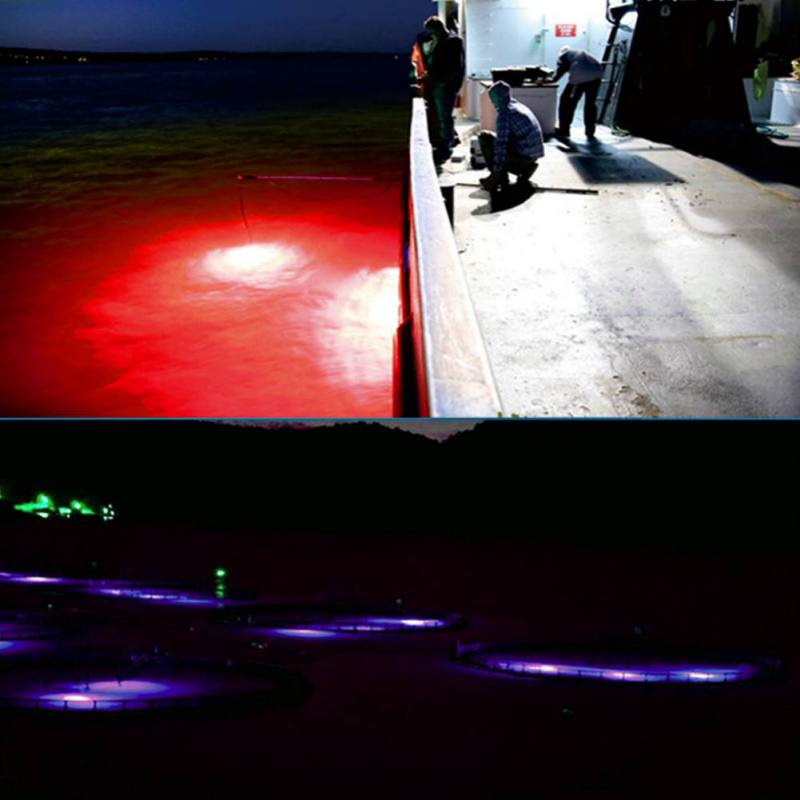 ミニ釣りアトラクションランプ光るルアー LED 点滅集魚灯イ - Fishing Boat Navigation Light のレビューと価格