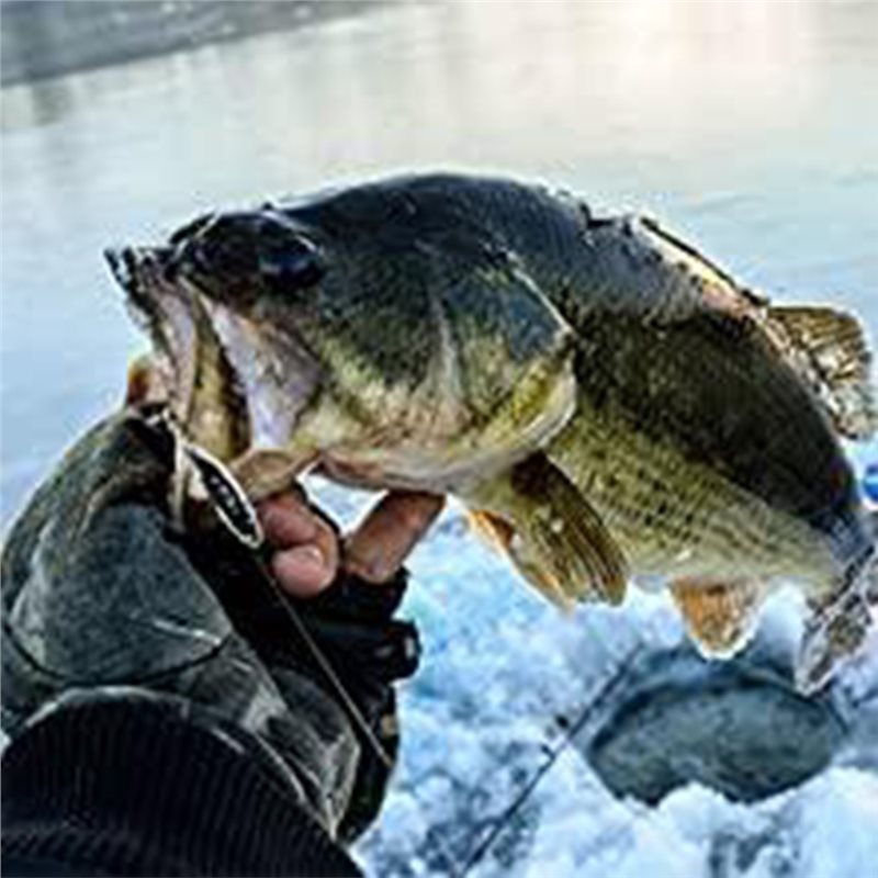 ABLB-カヤックボート用魚群探知機トランスデューサー ポー - Fishing Boat Depth Finder のレビューと価格